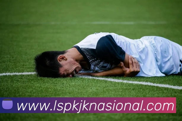 mksports登录入口APP 封面图